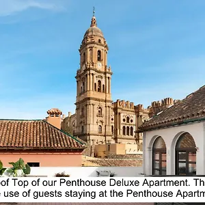 Apartment Coeo Fresca Roof Garden Signature Apartments, Malaga